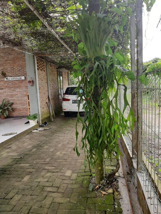 Bua Guest House Medan Exterior foto