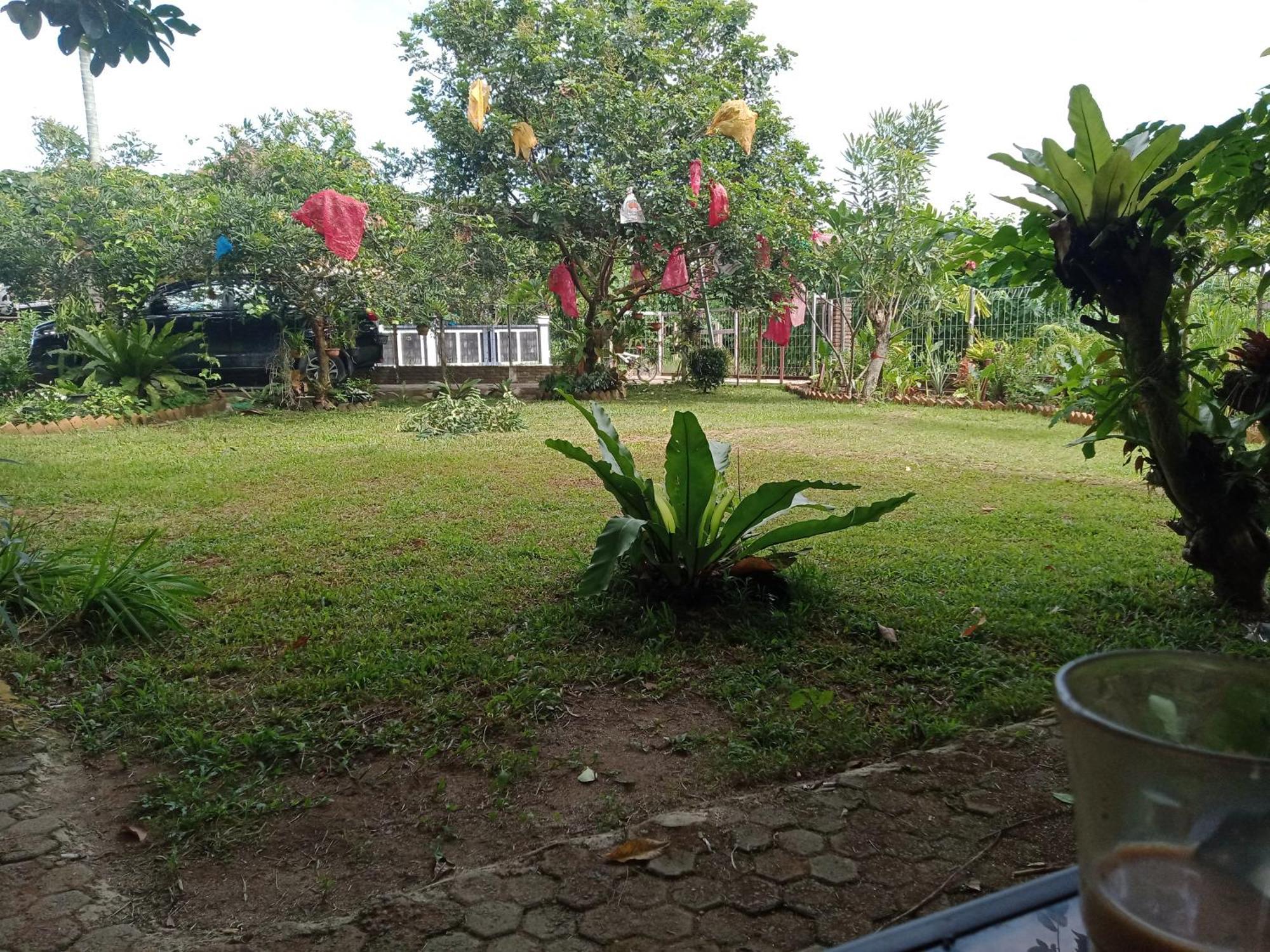 Bua Guest House Medan Exterior foto